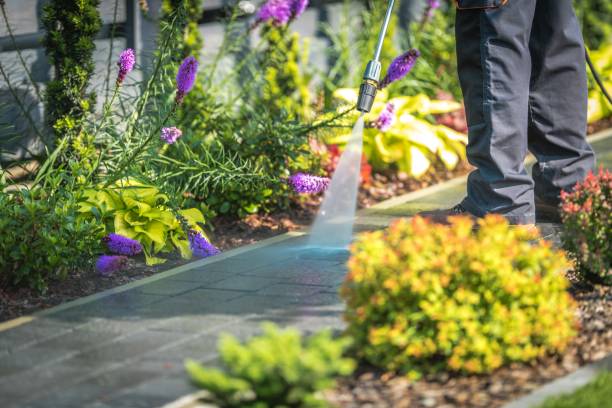 Professional Pressure Washing Services in Geistown, PA